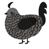 A grey and sable chicken with a lace pattern