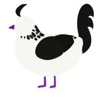 Waning Gibbous, a white and black chicken with a neck-speckle pattern