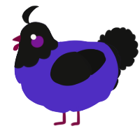 A indigo and black chicken with a head pattern
