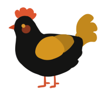 A black and ochre chicken
