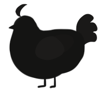 Mothman Jr, a black and sable chicken