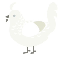 A white chicken with a half-lace pattern