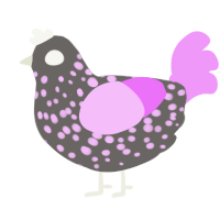 A grey and lavender chicken with a speckle pattern