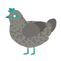 A ash and grey chicken with a speckle pattern