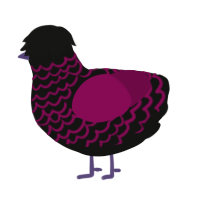 A black and wine chicken with a lace pattern