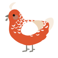 Angel Mist, a vermilion and cream chicken with a half-lace pattern