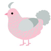 Himalayan Salt, a rose and silver chicken with a lace pattern