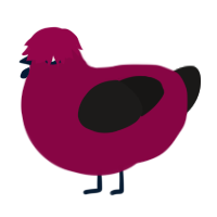 A maroon and sable chicken