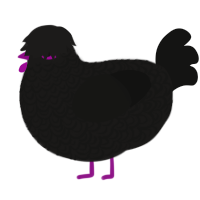 A sable and black chicken with a double-lace pattern