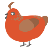 Henson, a vermilion and brown chicken with a neck-speckle pattern
