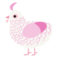 A white and pink chicken with a lace pattern