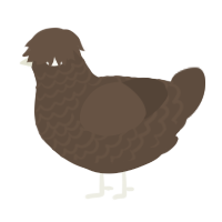A bark chicken with a lace pattern