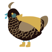 A black and grey chicken with a lace pattern