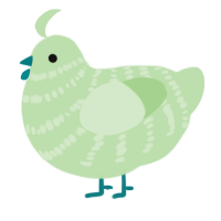 Guppy, a gluppy chicken with a bar pattern