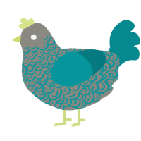 A ash and teal chicken with a double-lace pattern