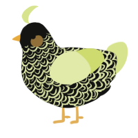A black and lemon chicken with a double-lace pattern