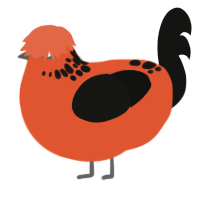 H Eve, a vermilion and black chicken with a neck-speckle pattern