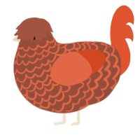 A russet and vermilion chicken with a lace pattern