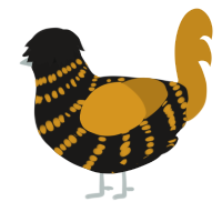 (unnamed), a sable and ochre chicken with a bar pattern