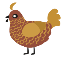 potatow, a russet and gold chicken with a lace pattern