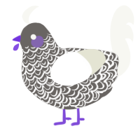 (unnamed), a grey and white chicken with a double-lace pattern