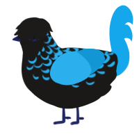 Tersyn, a sable and sky chicken with a half-lace pattern