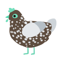 A bark and mist chicken with a speckle pattern