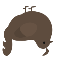 Drut, a bark chicken