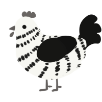 A white and black chicken with a bar pattern