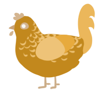 A ochre and honey chicken with a half-lace pattern