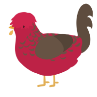 A crimson and bark chicken with a half-lace pattern