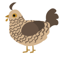 A beige and bark chicken with a lace pattern