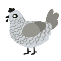 A mist and ash chicken with a lace pattern