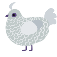 Ash, a silver and mist chicken with a lace pattern