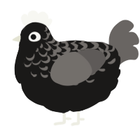 A sable and grey chicken with a half-lace pattern