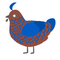 (unnamed), a russet and ultramarine chicken with a lace pattern