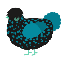 Sea Serpent, a sable and sea chicken with a speckle pattern