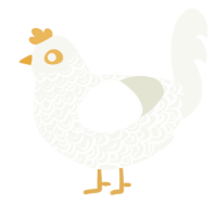 mercy, a white chicken with a double-lace pattern