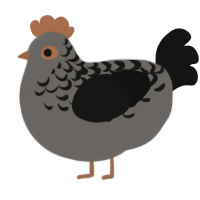 Pierre, a grey and black chicken with a half-lace pattern