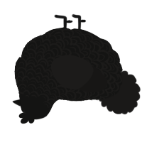 Centaurus A, a black and sable chicken with a double-lace pattern