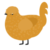 A orange chicken with a speckle pattern
