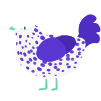 A white and indigo chicken with a speckle pattern