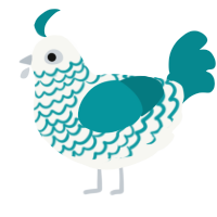 Ilot, a white and teal chicken with a lace pattern