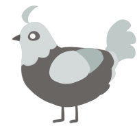 Android, a grey and silver chicken with a head pattern