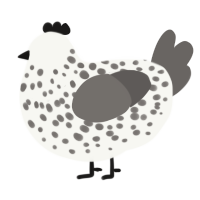 Cookies n Cream, a white and grey chicken with a speckle pattern