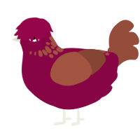 A maroon and russet chicken with a neck-speckle pattern