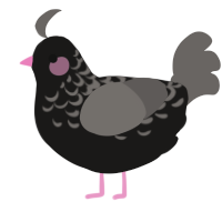 Ceres, a sable and grey chicken with a half-lace pattern