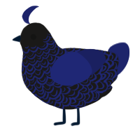 deep sea, a sable and navy chicken with a double-lace pattern
