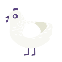 Star Apple, a white chicken with a half-lace pattern