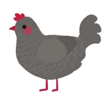Blush, a grey chicken with a lace pattern